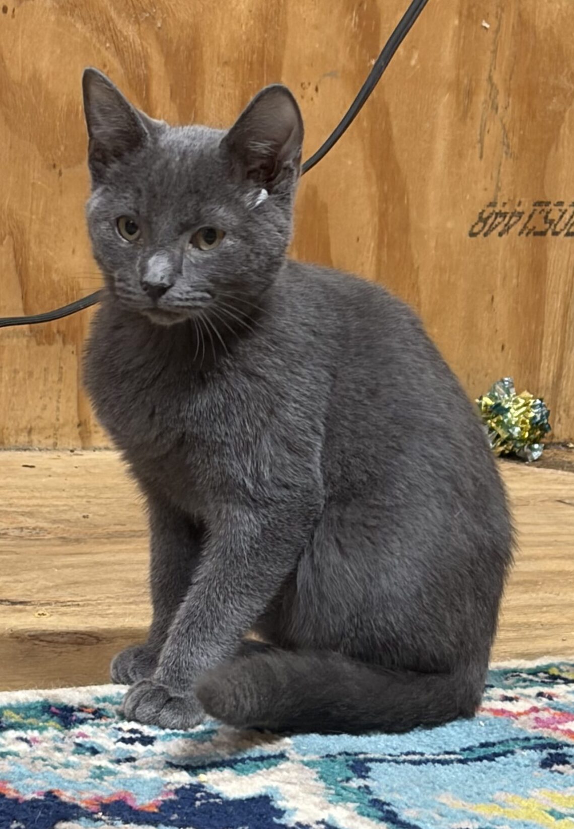 Milo